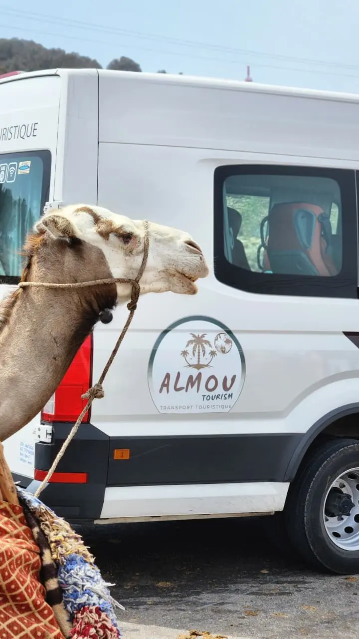 Why Choose Azura Tours Agency - Morocco Travel Experts